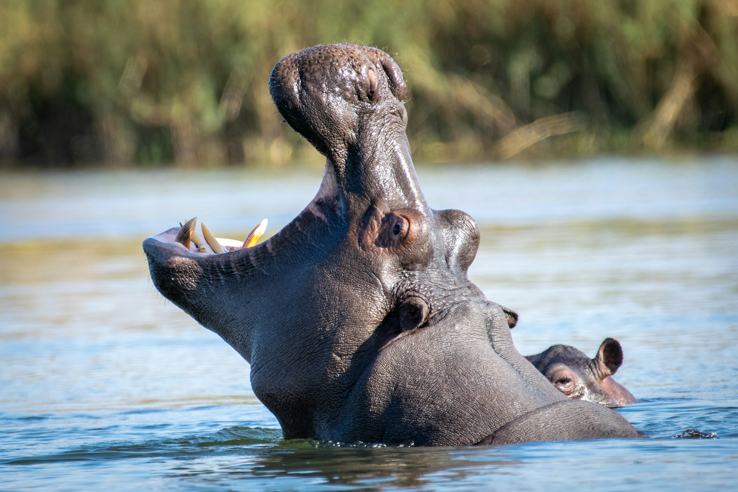 "Canoe safari on Zambezi River in Zimbabwe safari itinerary"