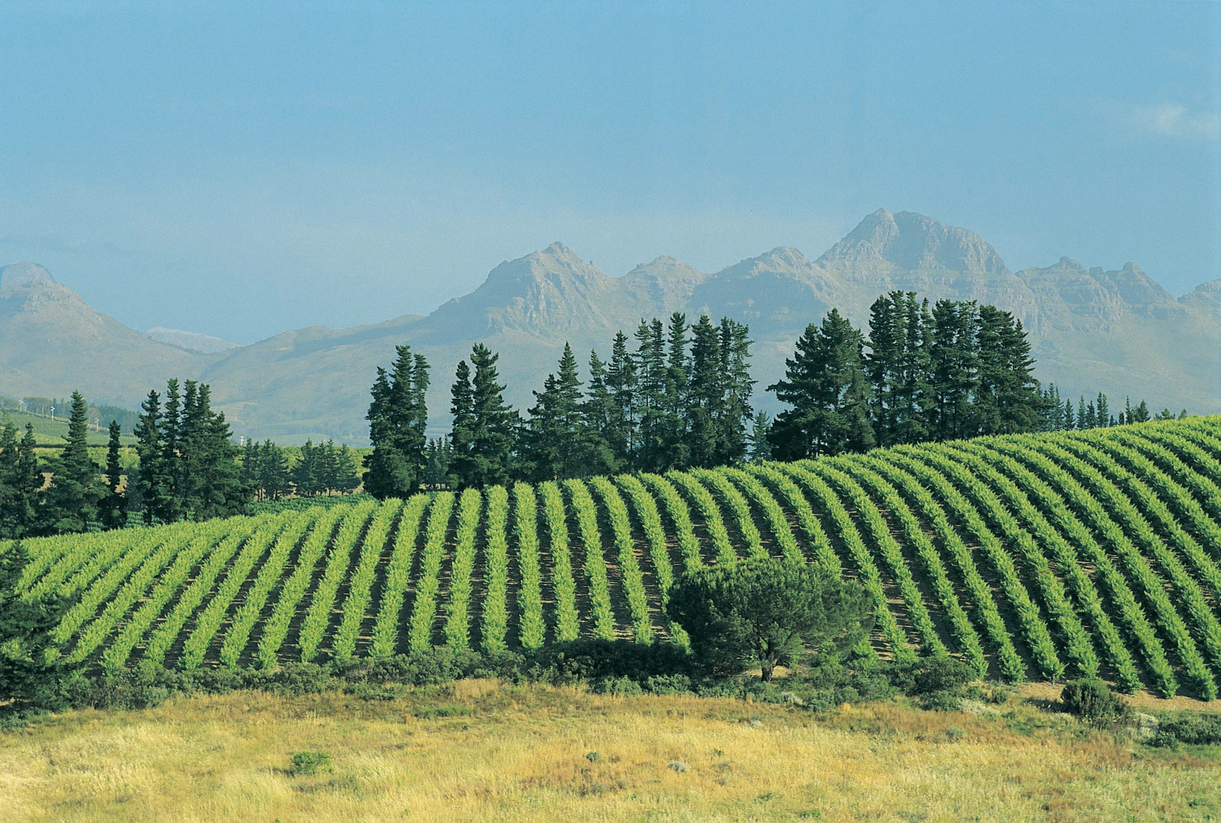 Luxury South Africa itinerary Table Mountain view