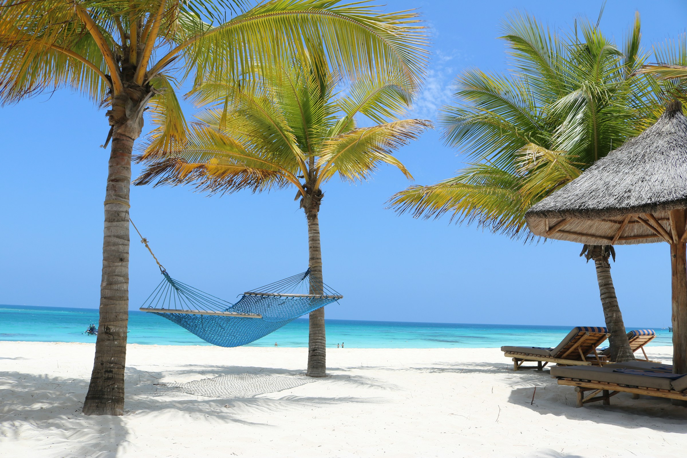 Palm trees and white sandy beach view on Zanzibar’s coast, perfect for a luxury safari escape