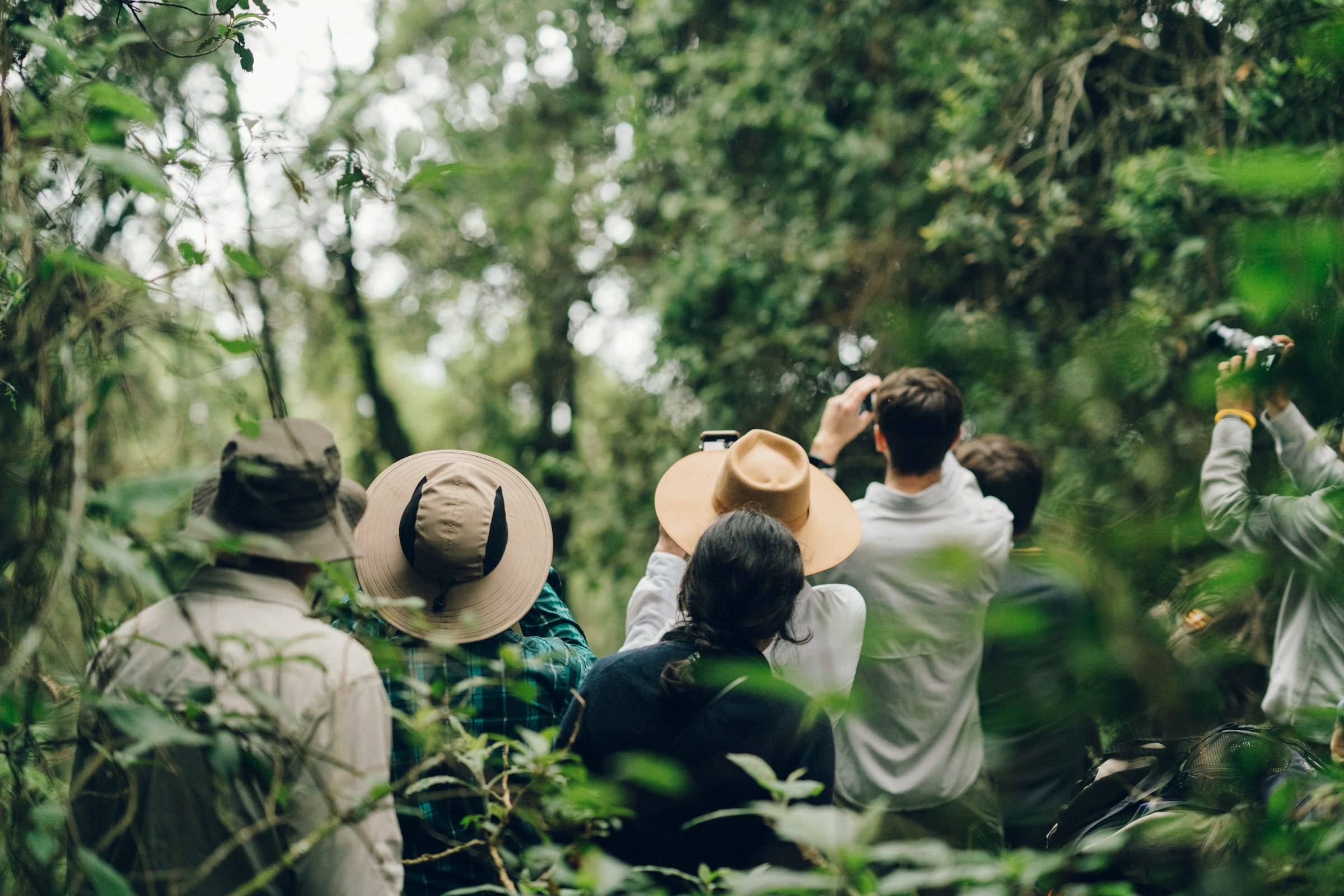 Uganda's Fly-In Gorilla Safari – gorilla trekking Rwanda and Uganda